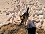 66 E che bei profondi affondi nella neve